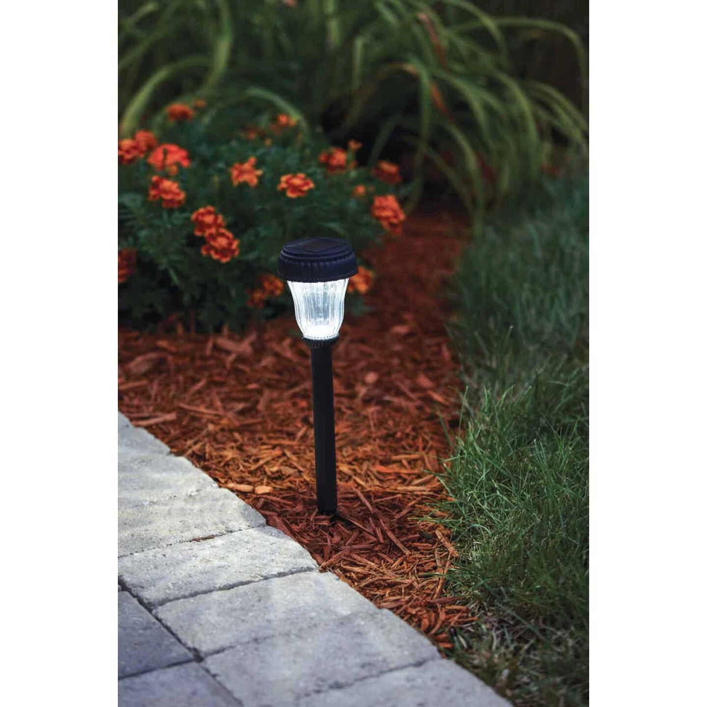 Best reviews of 🔥 Outdoor Expressions Black 2.10 Lumens Plastic Solar Path Light ✔️ 3 Best reviews of 🔥 Outdoor Expressions Black 2.10 Lumens Plastic Solar Path Light ✔️ - Image 3